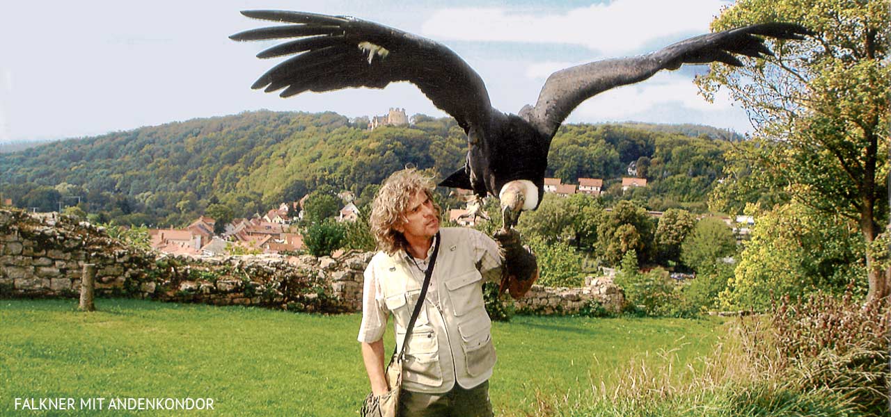 Adler Und Falkenhof Niederburg Kranichfeld